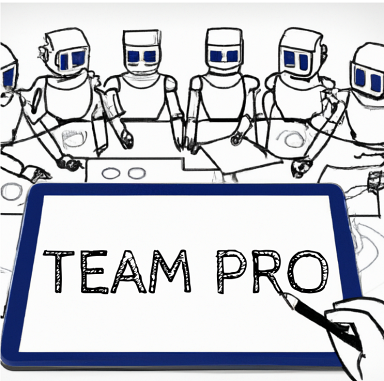 TEAM PRO Plan picture